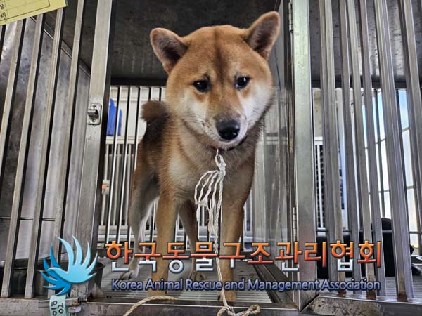 한국동물구조관리협회_411317202400377